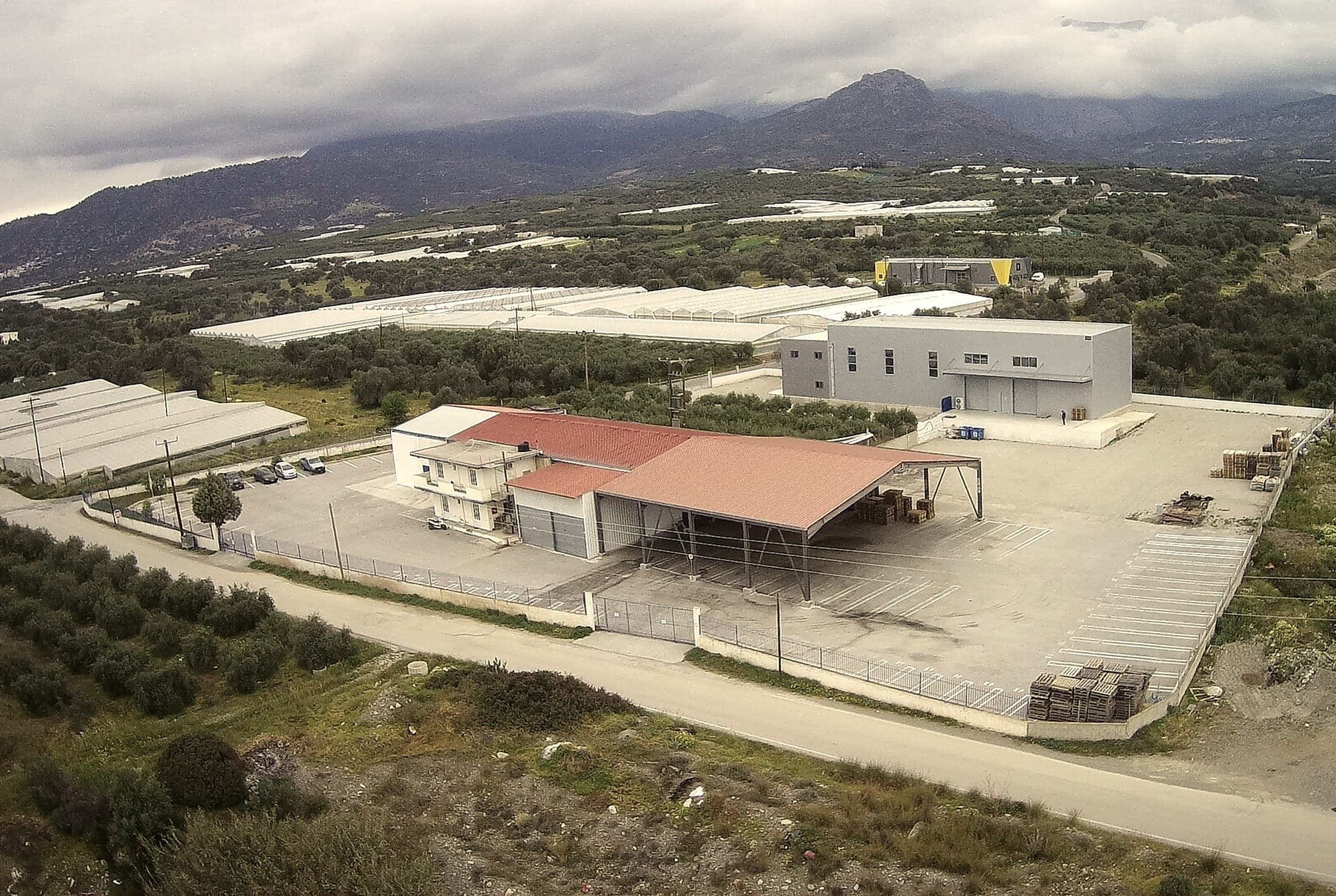 The mill and its yard on the Messara plain, seen from the air, olive groves and greenhouses around it and the mountains behind.